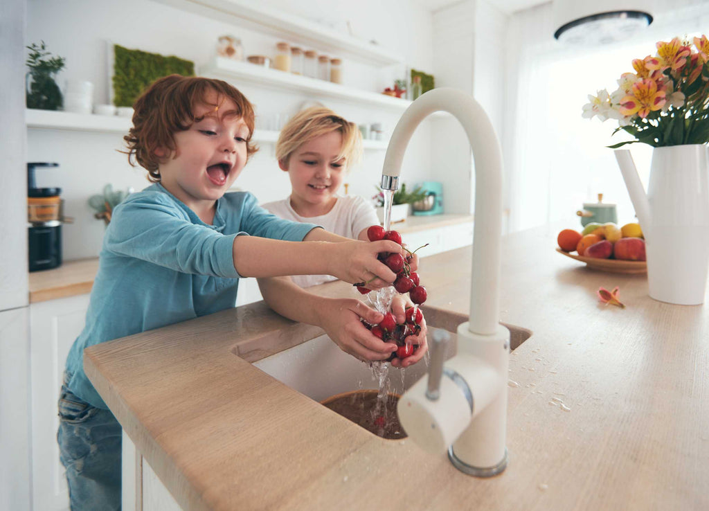 Save Your Home and Appliances: Why Every Household Needs a Water Softener