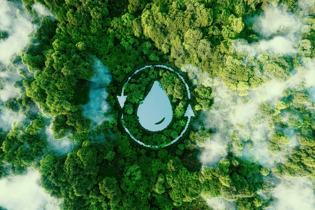 Leading the Way in Sustainable and Environmentally Friendly Water Filtration and Softener Solutions