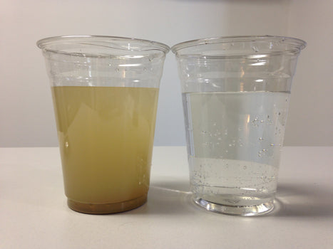Does Everyone Need a Water Filtration System For Their Home?