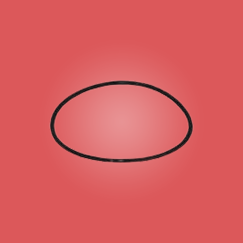 O-Ring Replacement for Big Blue Standard 20 inch Housing - Dupure